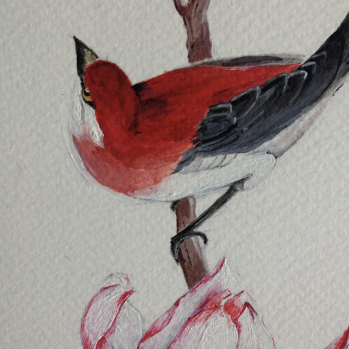 Illustration acrylique oiseaux et fleurs - Agathe de Kermenguy, illustratrice et directrice artistique Paris