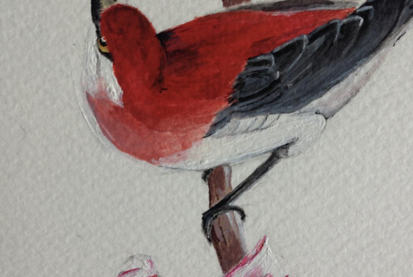 Illustration acrylique oiseaux et fleurs - Agathe de Kermenguy, illustratrice et directrice artistique Paris