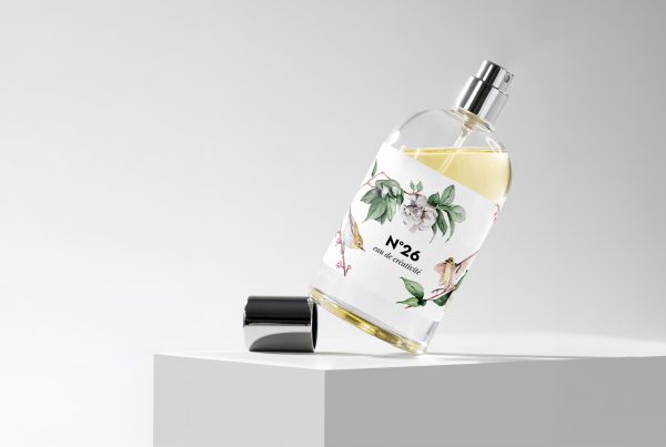 Graphisme et illustration. Peinture sur packaging. Packaging peint. Peinture d'oiseaux sur packaging illustré. Directrice artistique et designer graphique Paris. Agathe de Kermenguy.