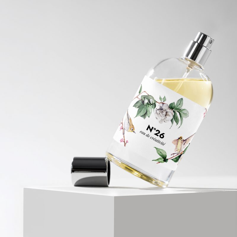 Graphisme et illustration. Peinture sur packaging. Packaging peint. Peinture d'oiseaux sur packaging illustré. Directrice artistique et designer graphique Paris. Agathe de Kermenguy.