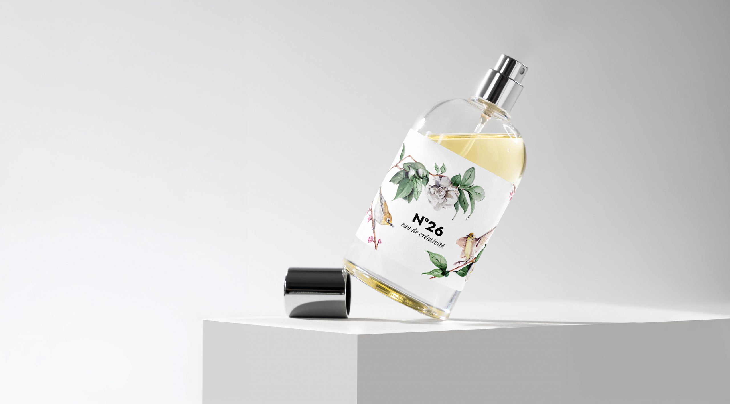Graphisme et illustration. Peinture sur packaging. Packaging peint. Peinture d'oiseaux sur packaging illustré. Directrice artistique et designer graphique Paris. Agathe de Kermenguy.